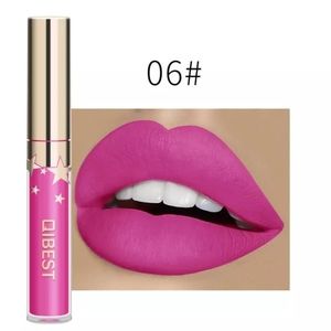 Matte Waterproof Lip Color